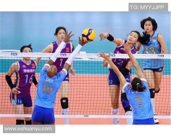 广州排球队的战术演变与球员转换深度解析